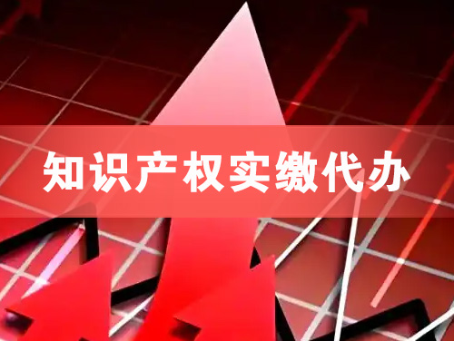 盐城知识产权实缴资本代办